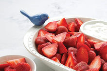 Load image into Gallery viewer, Nora Fleming Chip Platter With Bluebird of Happiness Mini
